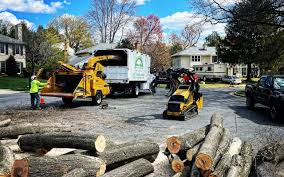 Leaf Removal in Thatcher, UT